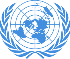 الأمم المتحدة تتعاون مع الصحة الموريتانية فى إصابة أحد أعضاء ...